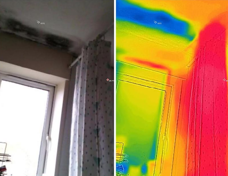 Moisture Thermography